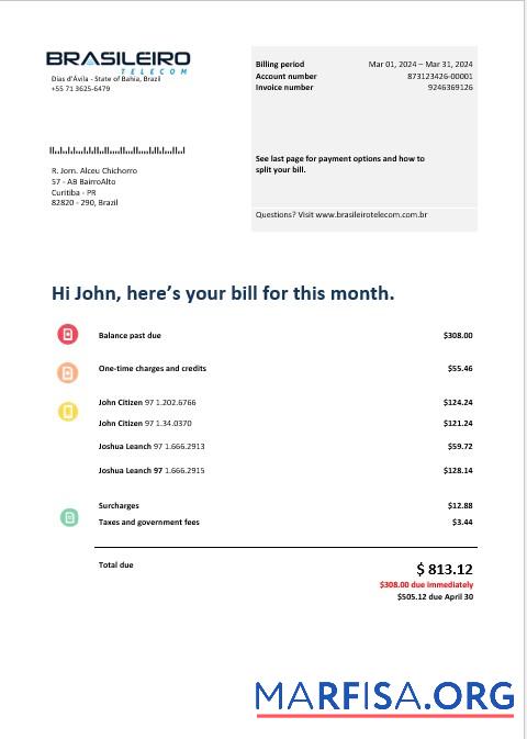 Realistic Brazil Braziliero Telecom business telecommunication bill Word and PDF template